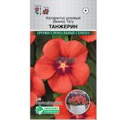 Цветы Катарантус Тату Танжерин (ЕСМ)