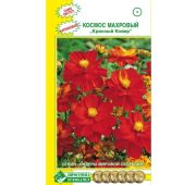 Цветы Космея Красный ковер (ЕСМ)