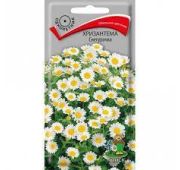 Цветы Хризантема Снегурочка(Поиск)