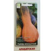 Тыква Арабатская (Поиск)