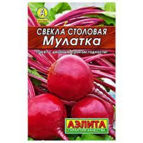 Свёкла Мулатка (Аэлита-)
