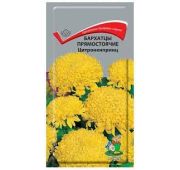Цветы Бархатцы Центроненпринц (Поиск)