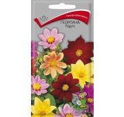 Цветы Георгина Радуга (Поиск)