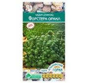 Цветы Седум (Очиток) Форстера оракл (ЕС)