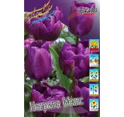 Тюльпан Негрита Микс (махр.поздн) 1шт.