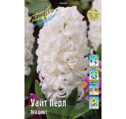 Гиацинт Уайт Перл 1шт.