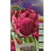 Тюльпан РОЯЛ АКРЕС махр.ранн.1шт (КЛ)