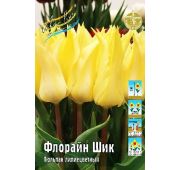 Тюльпан Флорайн Шик (лил) 1шт.
