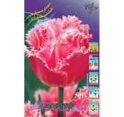 Тюльпан Даллас (бахром) 1шт