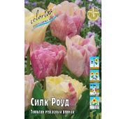 Тюльпан Силк Роуд (махр.ранн) 1шт.