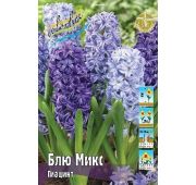 Гиацинт Блю Микс 1 шт.
