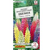 Цветы Люпин Обелиск (Аэлита)
