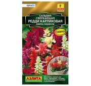 Цветы Сальвия Редди смесь (Поиск)