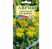 Цветы Седум (Очиток) Блу Форест (Гавриш)