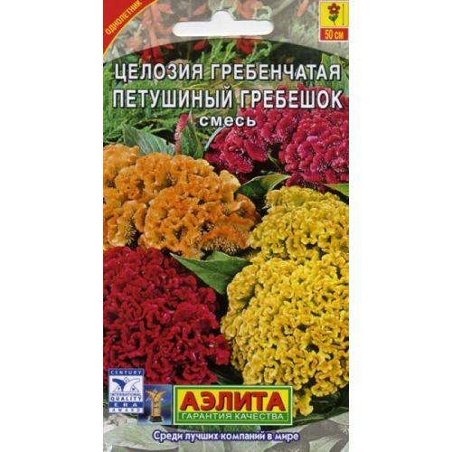 Выращивание целозии из семян на рассаду и в открытом грунте