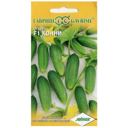 Огурец конни фото Огурец конни фото