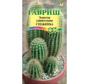 Цветы Эспостоа Снежинка Кактус (Гавриш)