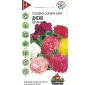 Цветы Гвоздика Шабо Диско (Гавриш)