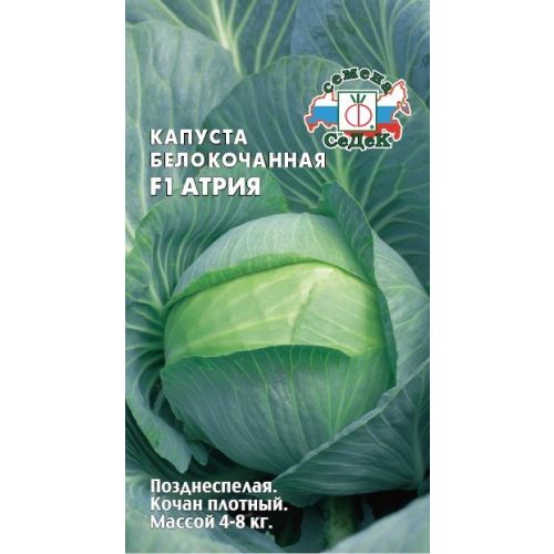 Капуста Атрия F1 (Седек)