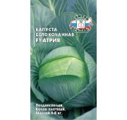 Капуста Атрия F1 (Седек)
