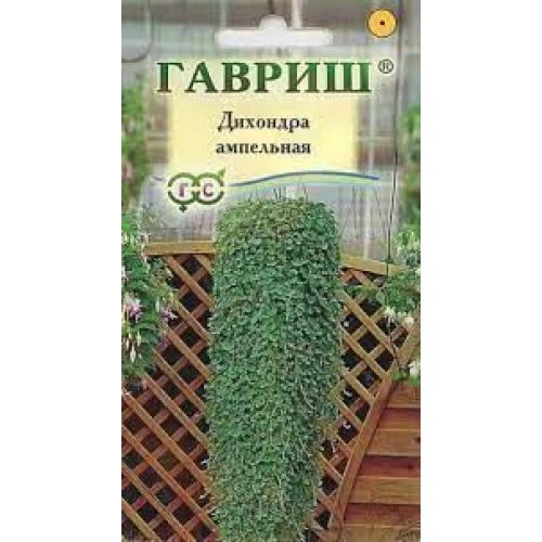 Как выглядят семена дихондры серебристой Как выглядят семена дихондры серебристой