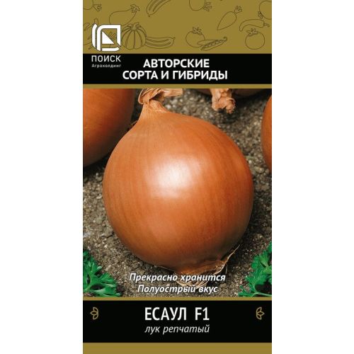 Лук репчатый Ессаул (Поиск)