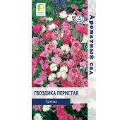 Цветы Гвоздика перистая Грезы смесь (Поиск)