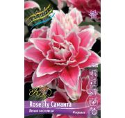 Лилия Roselily® Саманта (вост.махр.) 1 шт