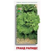 Салат Гранд Рапидс (Поиск)