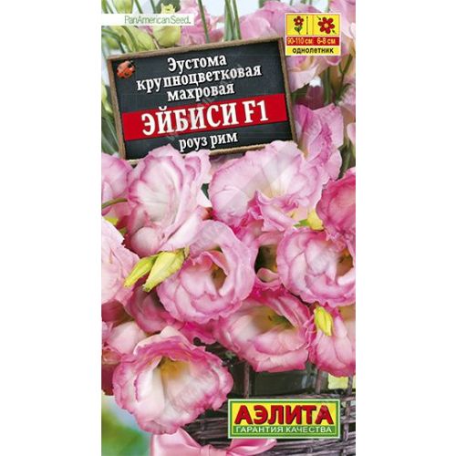 Цветы Эустома Эйбиси роуз Рим (Аэлита)