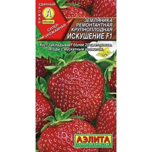 Клубника Искушение ремонт F1 (Аэлита)
