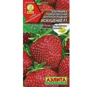 Клубника Искушение ремонт F1 (Аэлита)