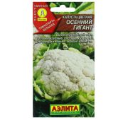 Капуста Цветная Осенний Гигант (Аэлита)