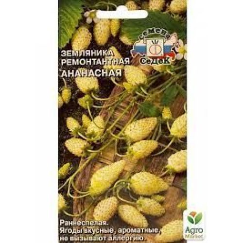 Земляника Ананасная (СеДеК)