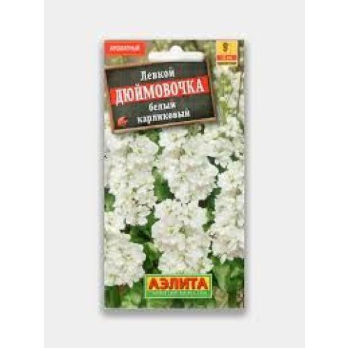 Цветы Левкой Дюймовочка белый (Аэлита)