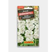 Цветы Левкой Дюймовочка белый (Аэлита)