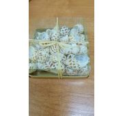 Ракушки морские в коробке №7 150гр