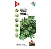 Цветы Клещевина Остров зеленый (Гавриш)