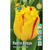 Тюльпан Парти Клоун (бахром) 1шт