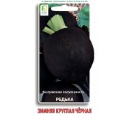 Редька Зимняя круглая черная (Поиск)