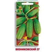 Огурец Вязниковский-37 F1 (Поиск)