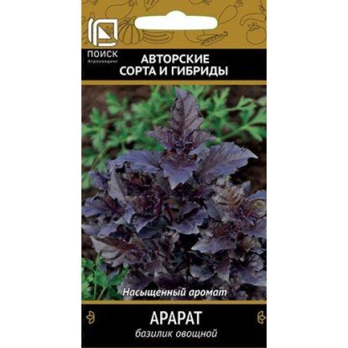Базилик Арарат (Поиск)