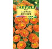 Цветы Астра Мацумото лососевая (Гавриш)