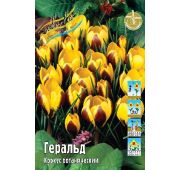 Крокус Геральд 1 шт.