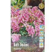 Хохлатка Бет Эванс 1шт (КЛ)