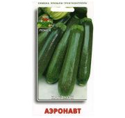 Кабачок Аэронавт (Поиск)