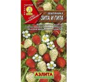 Земляника Зита и Гита (Аэлита)