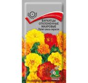 Цветы Бархатцы Петит махровые смесь (Поиск)