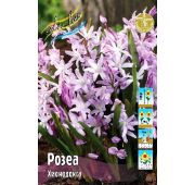 Хионодокса РОЗЕА 1шт (КЛ)