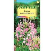 Цветы Клеома Королева роз (Гавриш)